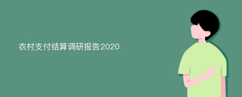 农村支付结算调研报告2020