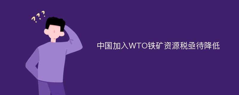 中国加入WTO铁矿资源税亟待降低