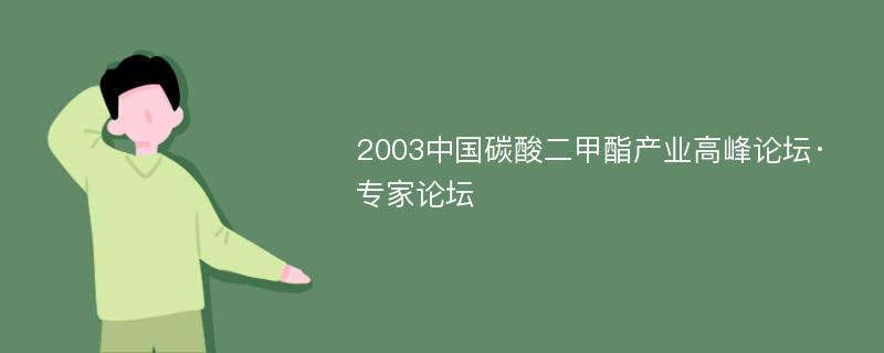 2003中国碳酸二甲酯产业高峰论坛·专家论坛