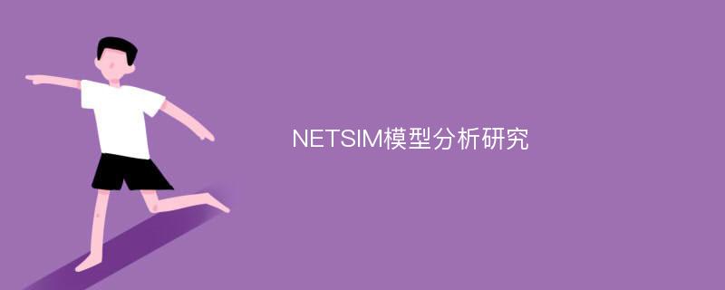NETSIM模型分析研究